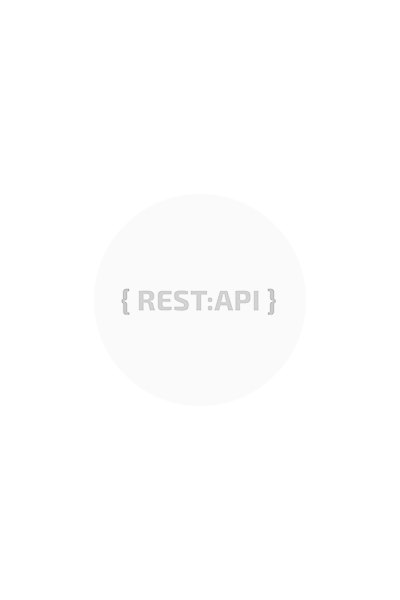 Ein dunkelgraues { REST:API } auf hellgrauem Kreis.