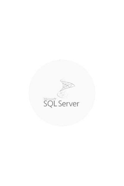 Ein dunkelgraues Logo Microsoft SQL Server auf hellgrauem Kreis.